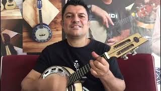 Coração Andorinha (Beto Sem Braço / Luis Carlos da Vila) Banjo a venda (11) 99242-4034