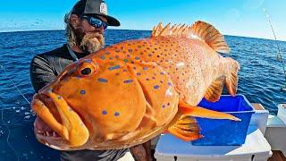 How to catch Coral Trout on SLOW PITCH….