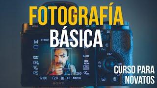 FOTOGRAFÍA BÁSICA - Curso para principiantes!