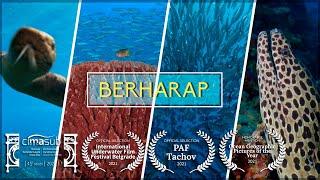 BERHARAP