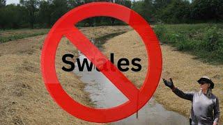 Why Swales Aren't for Everybody: 6 Hidden Secrets