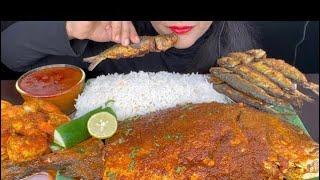 ASMR EATING BIG SPICY FISH CURRY,FISH FRY,WHITE AND SALAD *EATING SHOW*