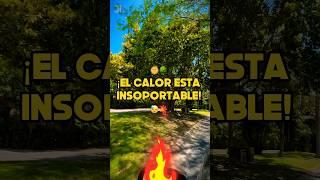 ️Ola de #calor 🫠 ️#yucatán #development #solar #heat