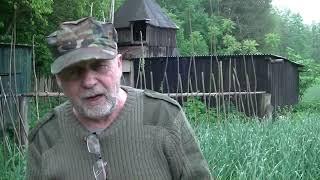 Czosnek