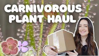 Unbox Some Carnivorous Plants With Me! | Pings & Sundews 