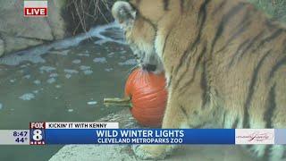 Wild Winter Lights offers fun & wild holiday experience at Cleveland Metroparks Zoo