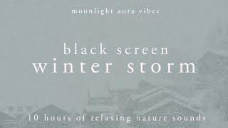 WINTER STORM l Black Screen  l 10 Hours of Nature Sounds for Sleep