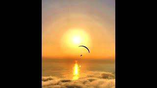 flying over paradise  #flying #paraglading #parashute