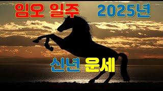 임오일주, 2025년 을사년신년운세 사주분석