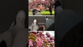Весна в Бельгии | Spring in Belgium | Цветение вишни  #shorts #europe #sakura #travel