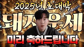 2025년 돼지띠 운세! 당신이 알아야 할 운세 핵심 포인트!