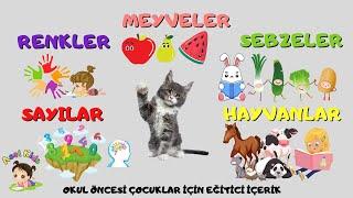 MEYVELER, SEBZELER, RENKLER, SAYILAR  VE HAYVANLARI ÖĞRENİYORUZ - ÇOCUKLAR EĞİTİCİ VİDEO