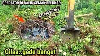 Sampai kaget di buat ular piton besar di balik semak belukar yang di buka excavator