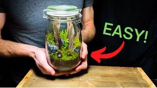 DIY Jar Terrarium: A Beginners Guide