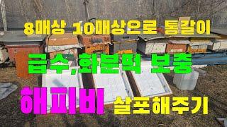 8매상 10매상으로통갈이 급수,화분떡보충 해피비살포