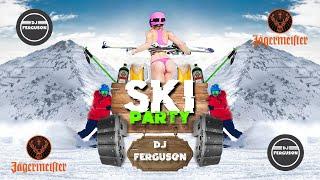 SLOVENSKI SKI PARTY MIX / DJ FERGUSON #apresski #veselica #party #partymix