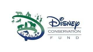 Disney Conservation Fund: Reverse the Decline, Increase the Time (Full Video)