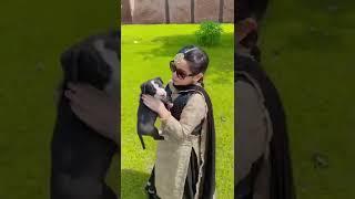 Old video of Gursirat Cheema