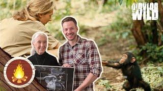 JANE GOODALL en de Chimpansees - BioVlogWild