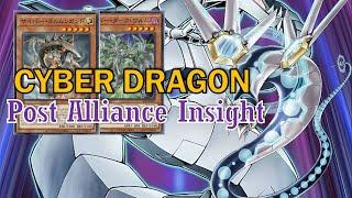 [NEW] CYBER DRAGON deck Dec.2024 | Post Alliance Insight