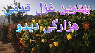 New Ghazal Hazaragi بهترین غزل دیدو مخته هزارگی