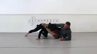 Counter attacks from the turtle position in jiu jitsu