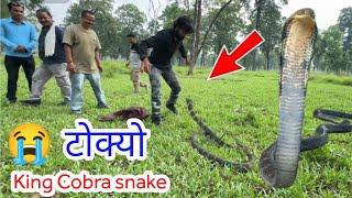   King Cobra snake किंग कोब्रा सर्प समाउँदा भयो ठूलो घटना Murliwale hausala in Nepal