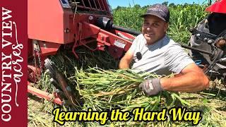 Learning by my mistakes.  Making My First Silage Bales.  Can it be done a small scale?