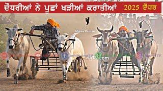 Shift 4 | DAUDHAR (Moga) OX RACES | 2025 #oxrace#oxraceing