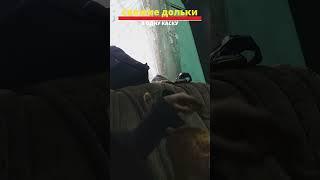 В ОДНУ КАСКУ