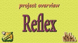 Reflex / Overview of the company