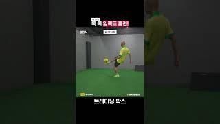 톡 톡 임팩트 훈련! 