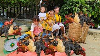 Selling wild chickens at highland markets. Sung Thi So