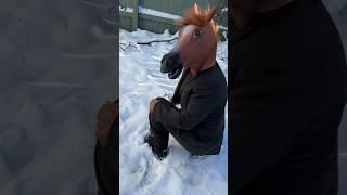 HORSE AND THE SNOWBALL!