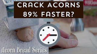 The FASTEST way to crack acorns