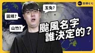 星坐、甜點都拿來取名！颱風為何一堆怪名字？台灣以前都用草預測颱風？日本颱風天要吃可樂餅？颱風冷知識大合集！｜志祺七七