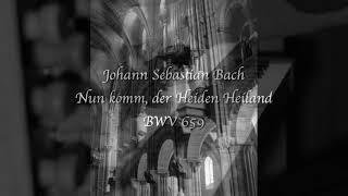 JS Bach "Nun Komm der Heiden Heiland"  BWV 659 par Benjamin-Joseph Steens