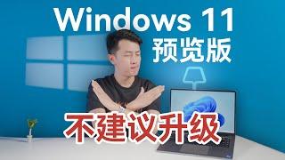 气到骂街！Windows 11 竟然反向升级？【科技小辛】