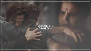 Winchester & Salvatore Brothers || You are the reason