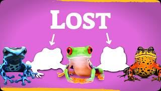 Searching for the world’s lost frogs