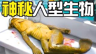 【UMA丨神秘人形生物】最最重量級的神秘人形生物：野人！各國的野人傳說到底是真是假？神農架的野人真的存在嗎？丨神秘動物學UMA羊駝解說丨黑毛羊駝