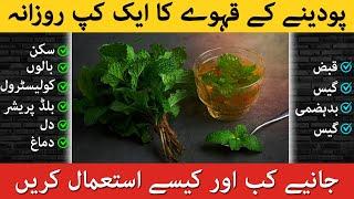 Pudina Ka Kahwa Peene Ke Fayde | Pudina Ka Kahwa Benefits In Urdu | Podina Ke Fayde