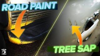 Ultimate Guide to Tree Sap and Road Paint Removal: Expert Tips and Tricks for a Pristine Finish