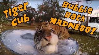 Tiger Cub Bubble Bath MADNESS!!!