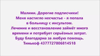 Малини. Я попала в больницу с инсультом. Буду благодарна за любую помощь.Тинькоф 4377727806814518