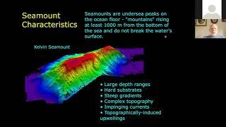 Mountains in the Sea: Explorations of New England Seamounts by Dr. Jon Moore | April 10, 2020