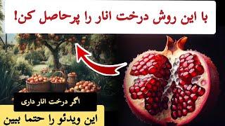 با این روش می‌توانی از درخت انار خود حاصل زیاد و باکیفیت بگیری