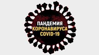 Пандемия коронавируса COVID19 | Инфографика