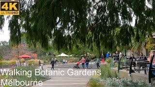 Walking Royal Botanic Gardens | Melbourne Australia | 4K UHD