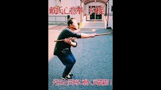 【武器練習】戴氏心意拳　抖棍